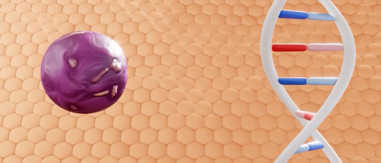 What is BRAF in melanoma?